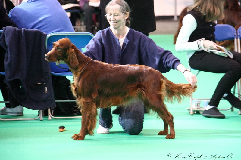 Crufts2011 324.jpg